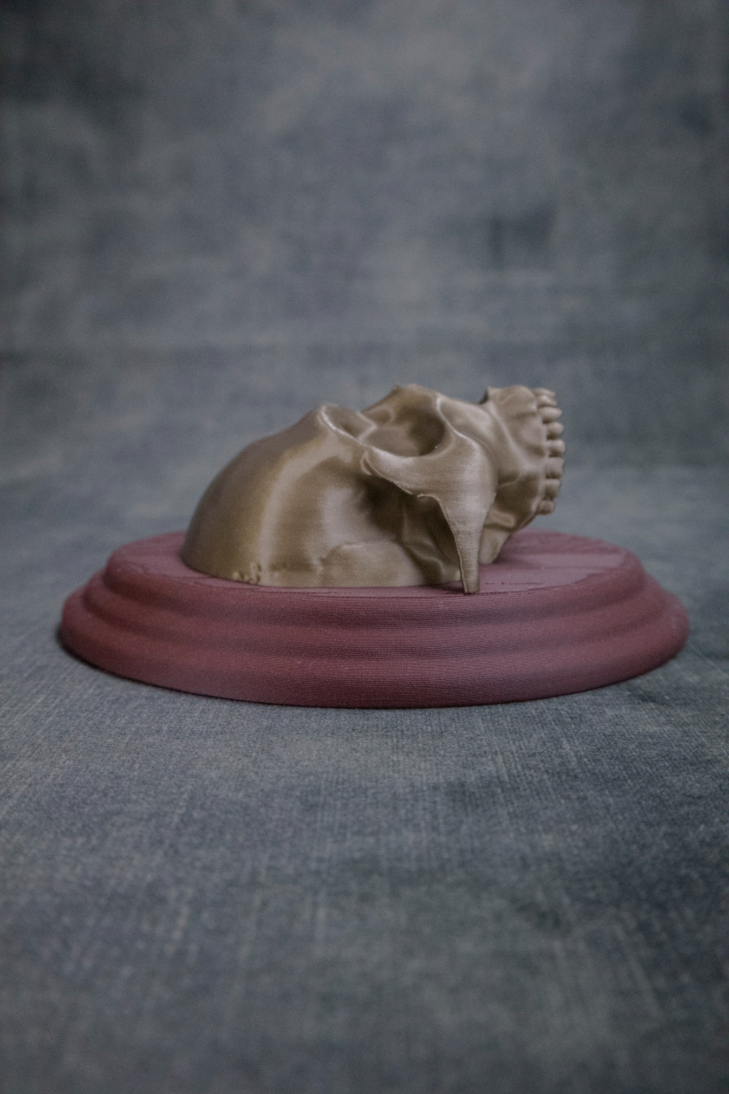 Skull Sconce (Pre Supported) — miniatura 3