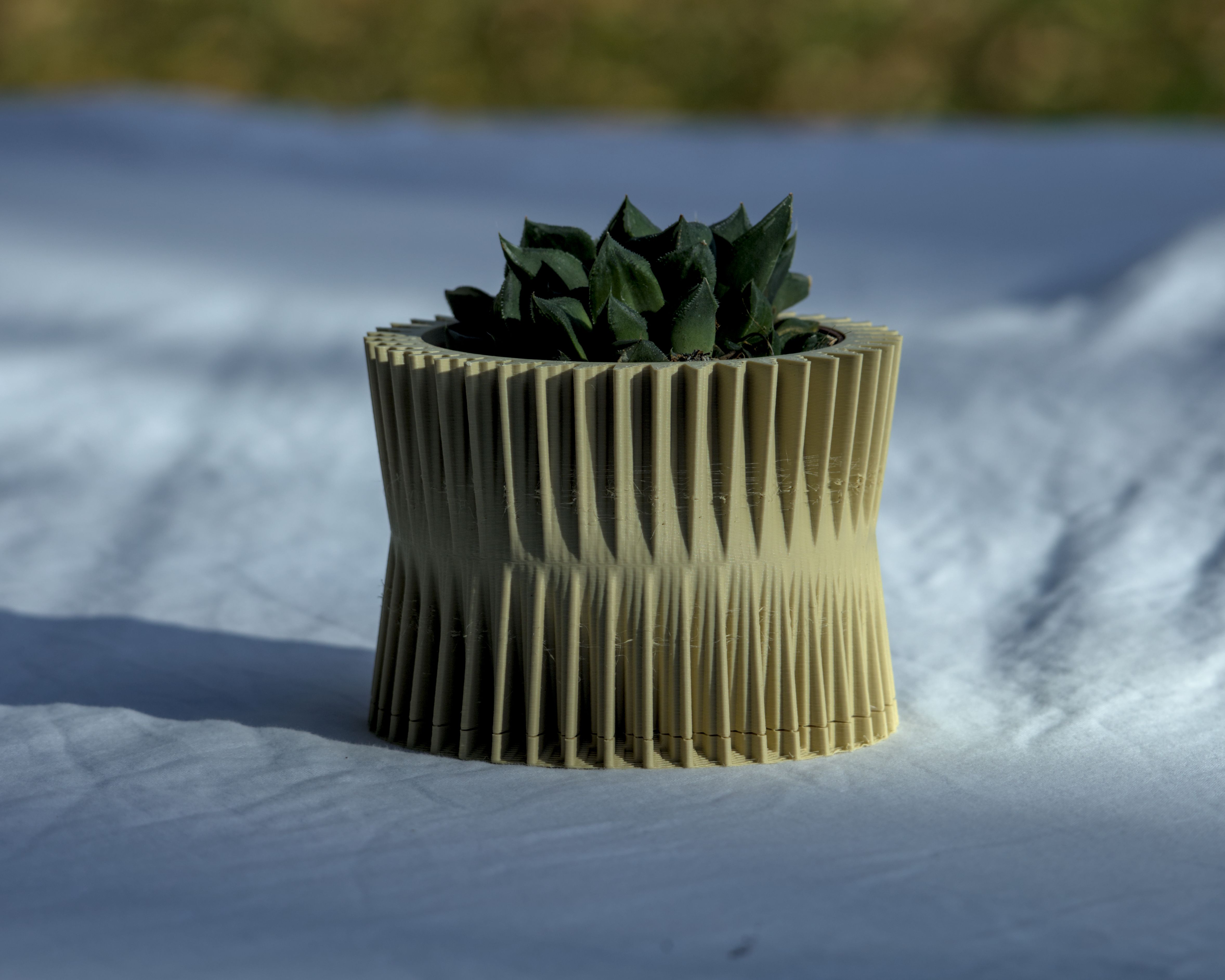Carsten pot