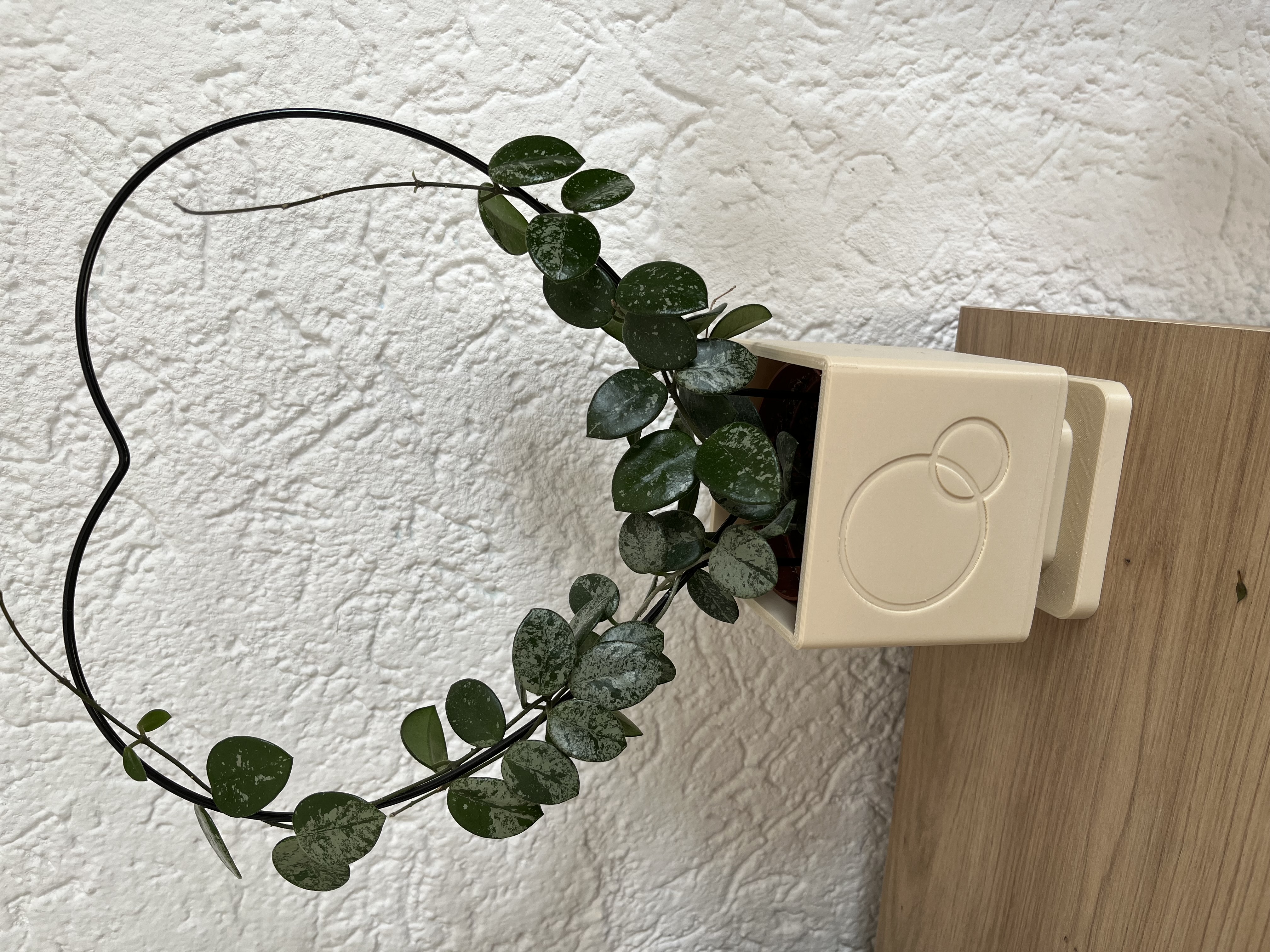 Modern Square Planter with Circle Pattern