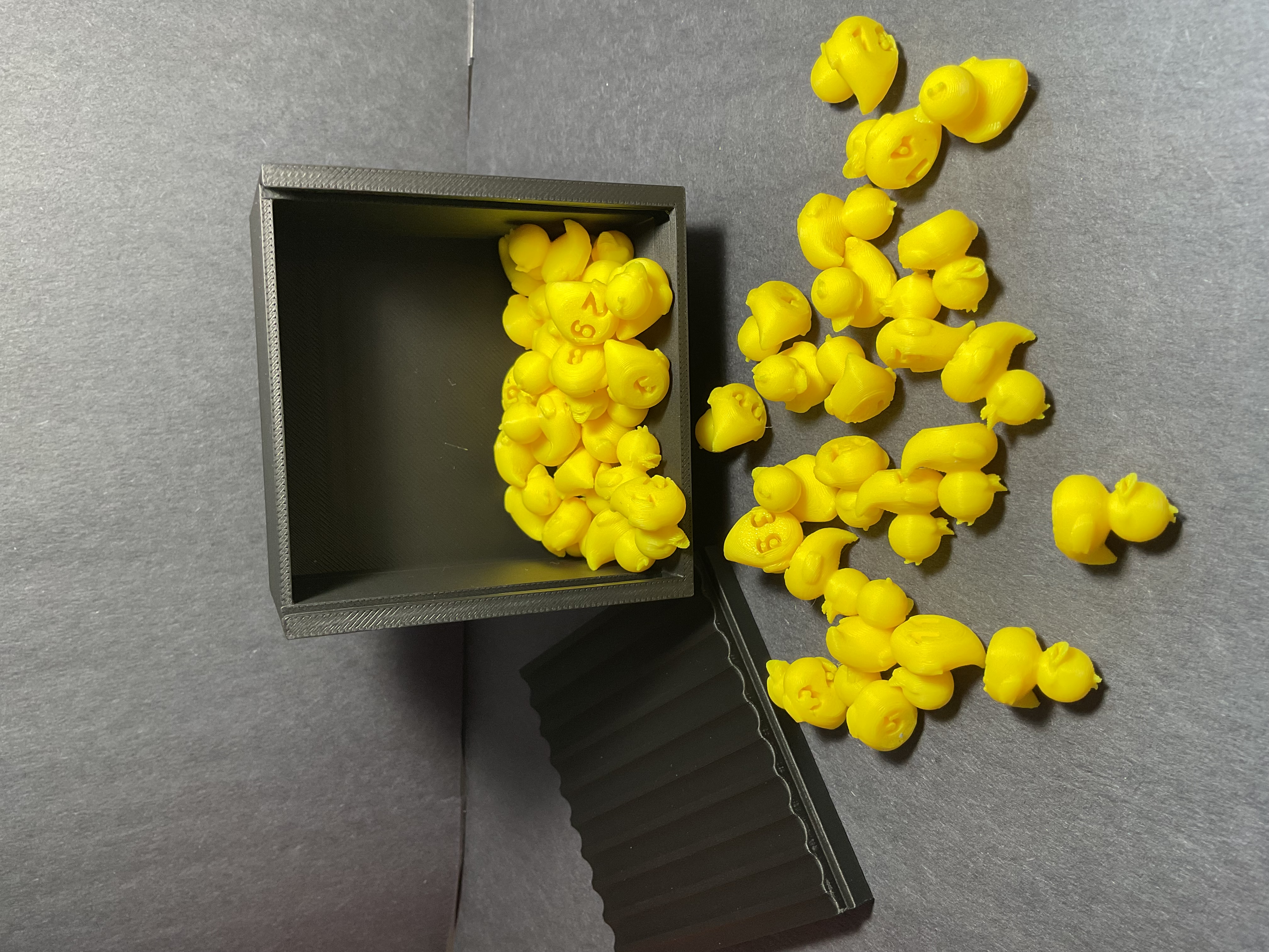 hide and seek ducks!