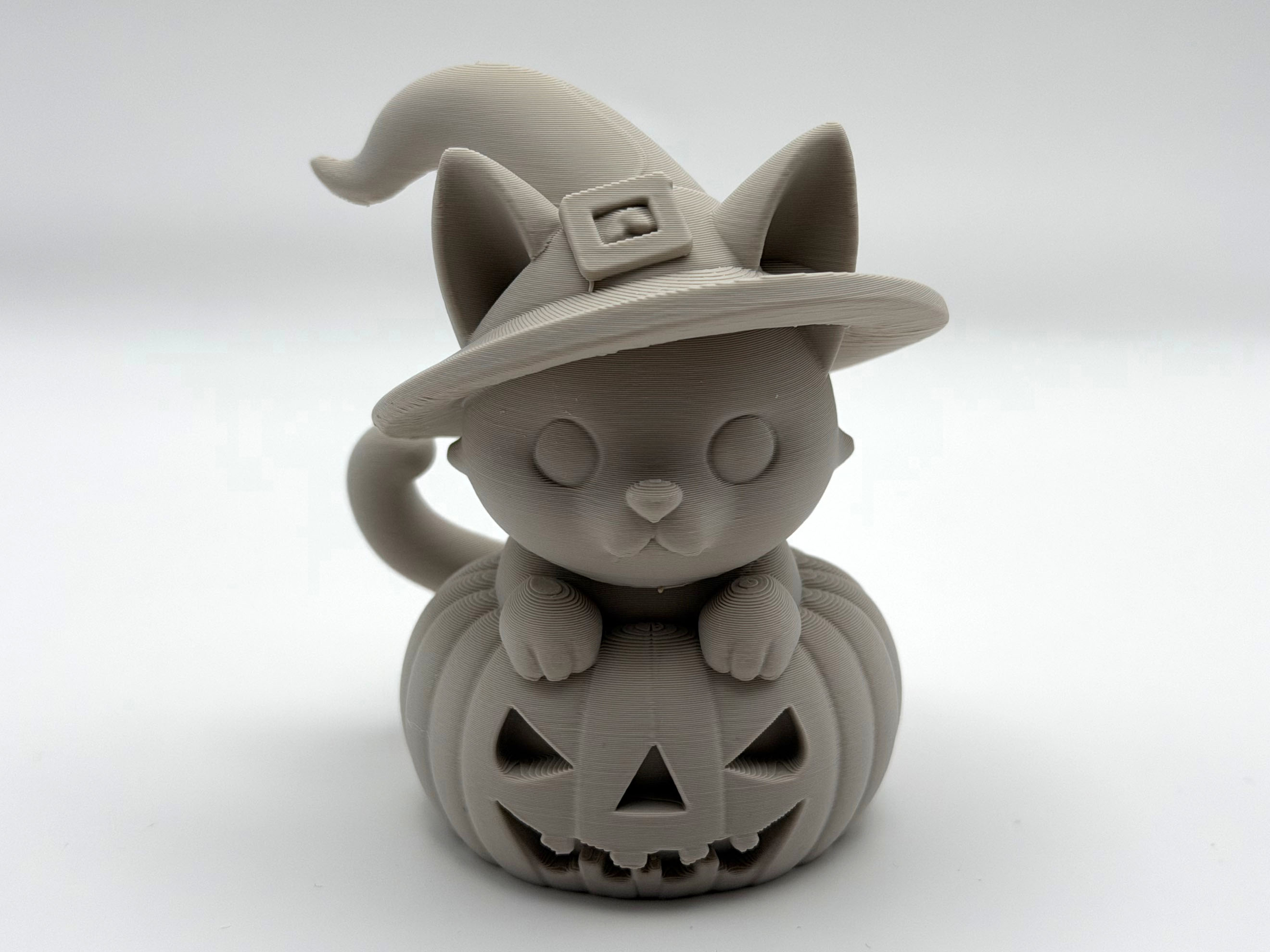 Pumpkin Cat
